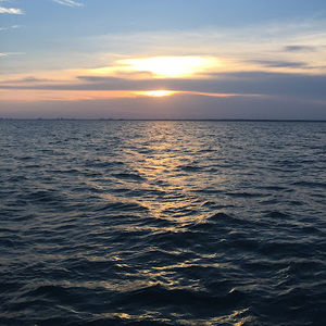 Meet your Posher, Jack